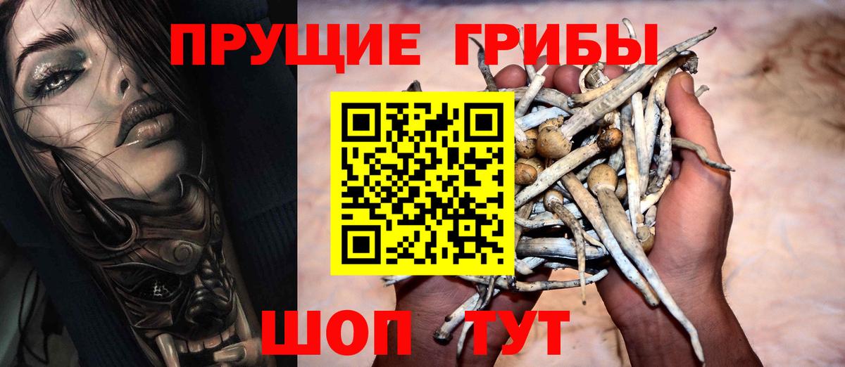 Галлюциногенные грибы мухоморы  Псилоцибиновые грибы прущие грибы  Вход с VPN  Клин 