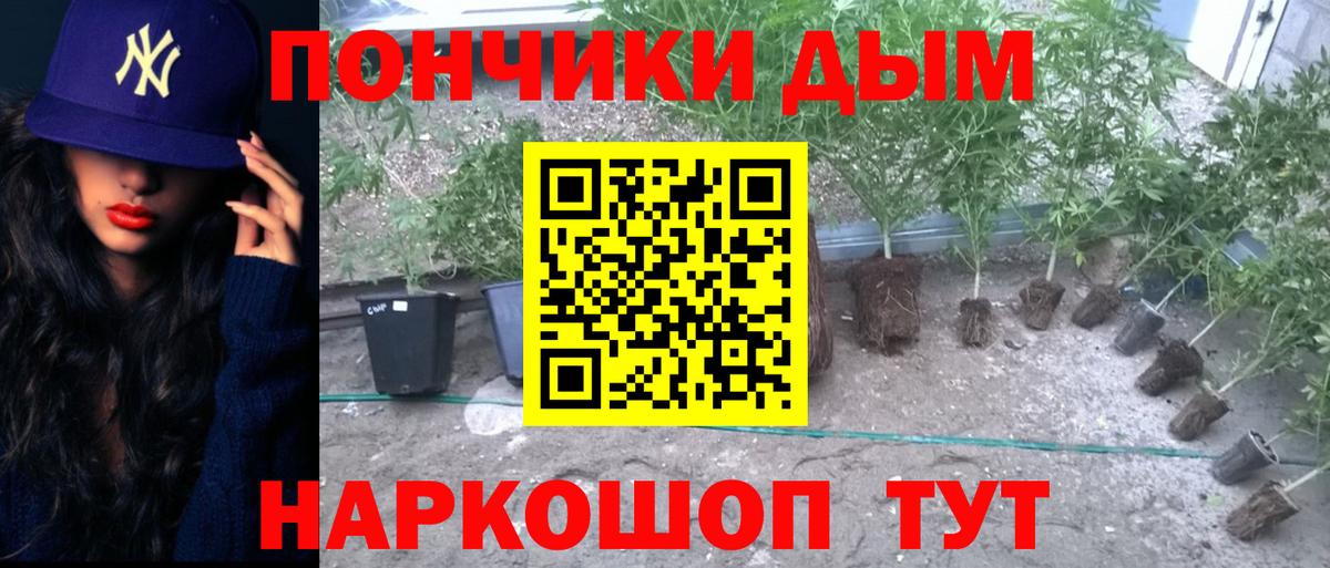 Клин  Шишки марихуана OG Kush  Вход с VPN  МАРИХУАНА ГИДРОПОН  Марихуана MAZAR  Канабис Ganja 